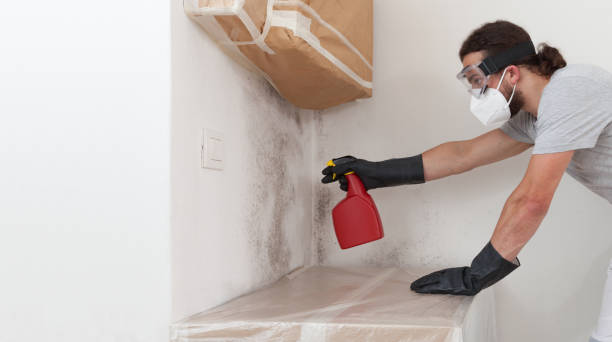 Professional Mold Testing technician working in Leland, MI