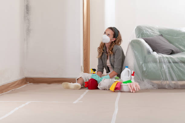 Reliable Mold Testing contractor in Leland, MI by WQB Mold Removal